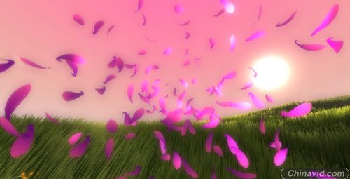 PS3新作《花》将于2月12日下载销售
