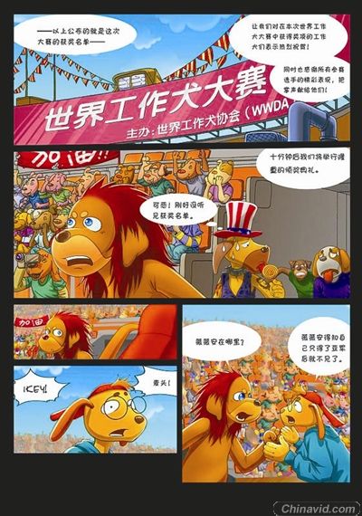 郑钧：做漫画像谈恋爱(图)