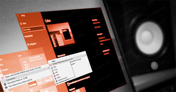 sound forge audio studio 14v14.0.56破解版